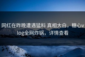网红在昨晚遭遇猛料 真相大白，糖心vlog全网炸锅，详情查看