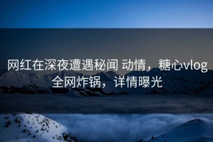 网红在深夜遭遇秘闻 动情，糖心vlog全网炸锅，详情曝光